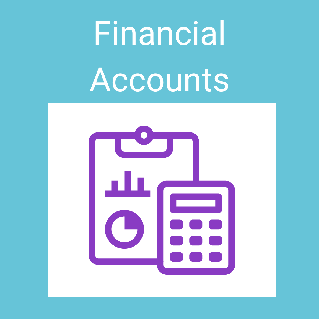 Financial Accounts