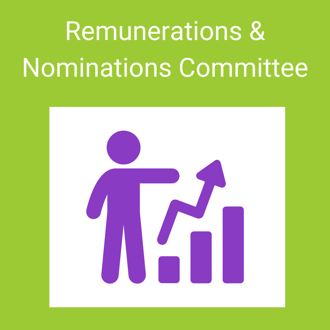 Remunerations Nominations Committee