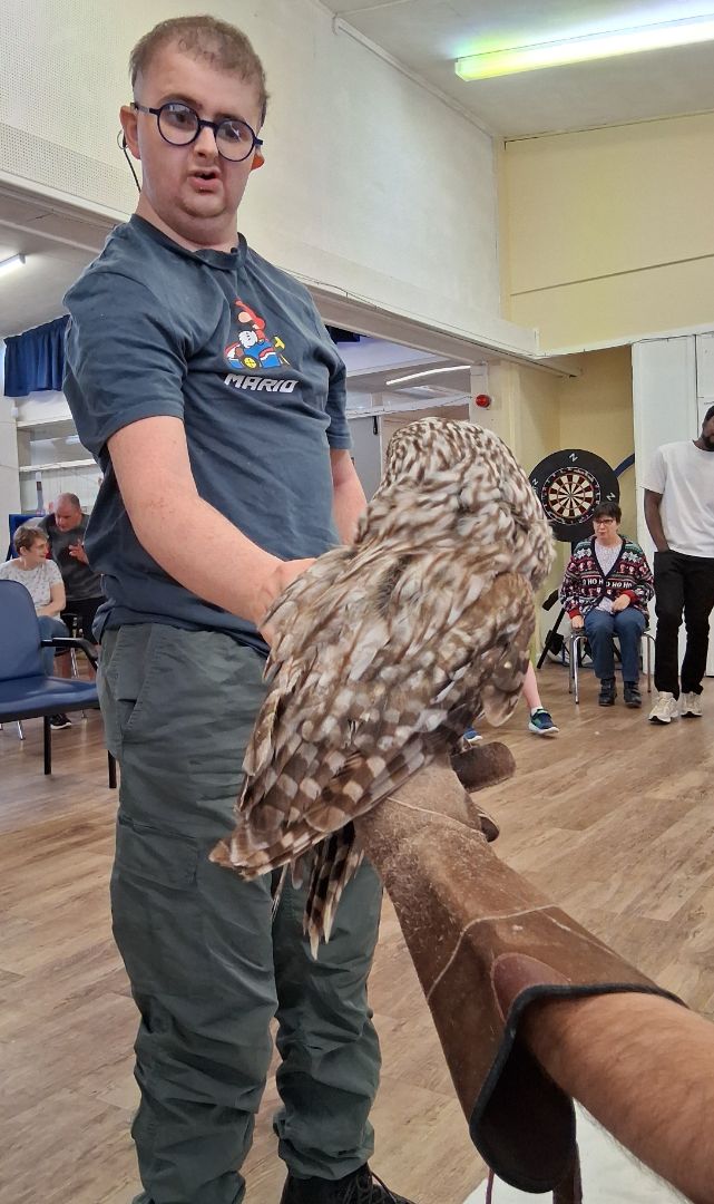 Owl Visit 3